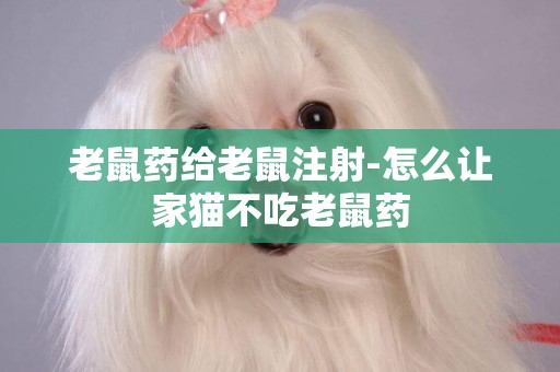 老鼠藥給老鼠注射-怎么讓家貓不吃老鼠藥