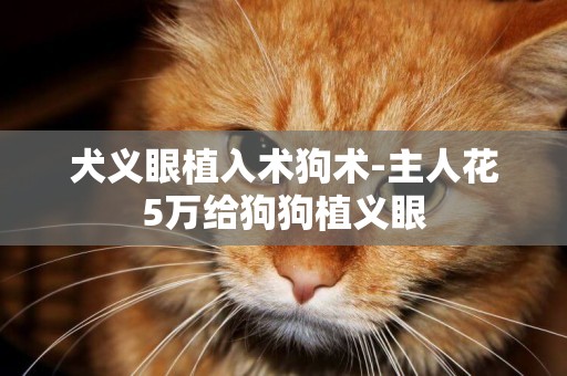 犬義眼植入術狗術-主人花5萬給狗狗植義眼