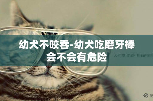 幼犬不咬吞-幼犬吃磨牙棒會不會有危險