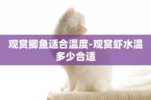 觀賞鯽魚適合溫度-觀賞蝦水溫多少合適