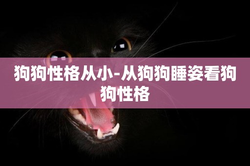 狗狗性格從小-從狗狗睡姿看狗狗性格