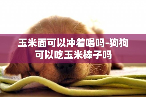 玉米面可以沖著喝嗎-狗狗可以吃玉米棒子嗎