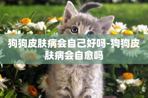 狗狗皮膚病會自己好嗎-狗狗皮膚病會自愈嗎
