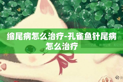 縮尾病怎么治療-孔雀魚針尾病怎么治療