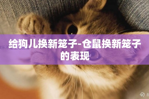 給狗兒換新籠子-倉鼠換新籠子的表現
