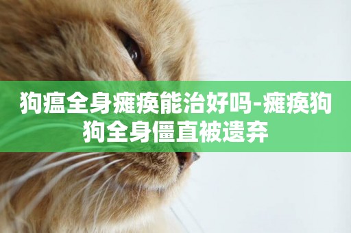 狗瘟全身癱瘓能治好嗎-癱瘓狗狗全身僵直被遺棄