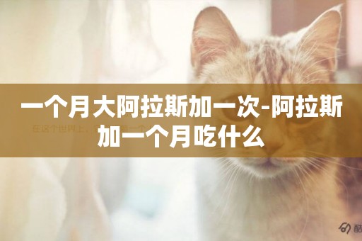一個月大阿拉斯加一次-阿拉斯加一個月吃什么