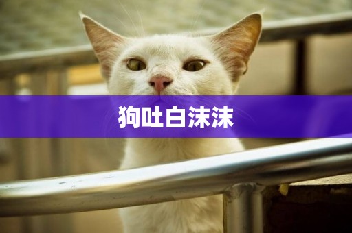 狗吐白沫沫