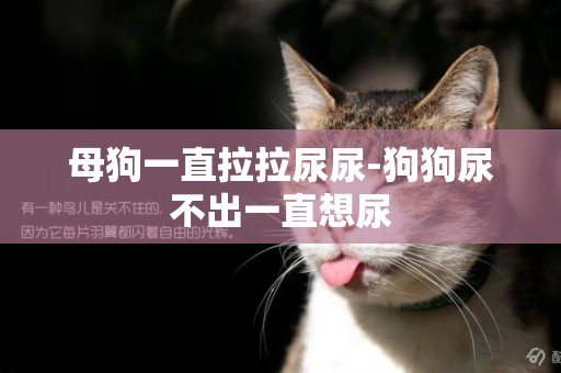 母狗一直拉拉尿尿-狗狗尿不出一直想尿