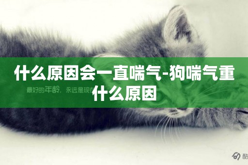 什么原因會一直喘氣-狗喘氣重什么原因