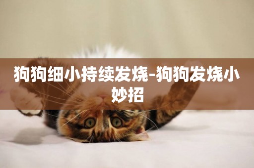 狗狗細小持續發燒-狗狗發燒小妙招
