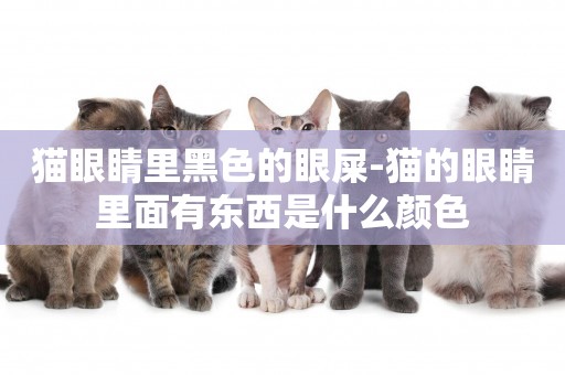 貓眼睛里黑色的眼屎-貓的眼睛里面有東西是什么顏色