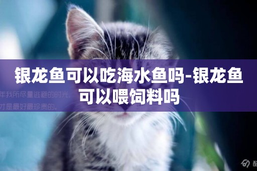 銀龍魚可以吃海水魚嗎-銀龍魚可以喂飼料嗎