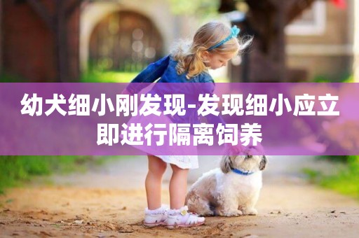 幼犬細小剛發現-發現細小應立即進行隔離飼養