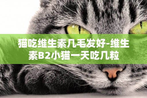 貓吃維生素幾毛發好-維生素B2小貓一天吃幾粒