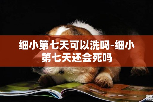 細小第七天可以洗嗎-細小第七天還會死嗎