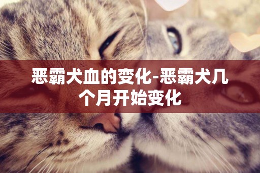 惡霸犬血的變化-惡霸犬幾個月開始變化