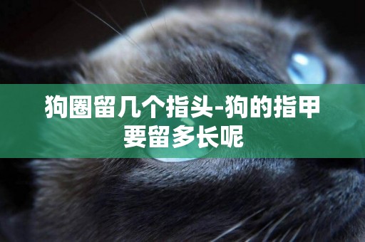 狗圈留幾個指頭-狗的指甲要留多長呢