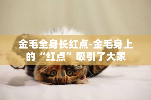 金毛全身長紅點-金毛身上的“紅點”吸引了大家