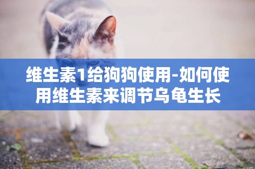 維生素1給狗狗使用-如何使用維生素來調節烏龜生長