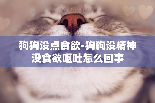狗狗沒點食欲-狗狗沒精神沒食欲嘔吐怎么回事