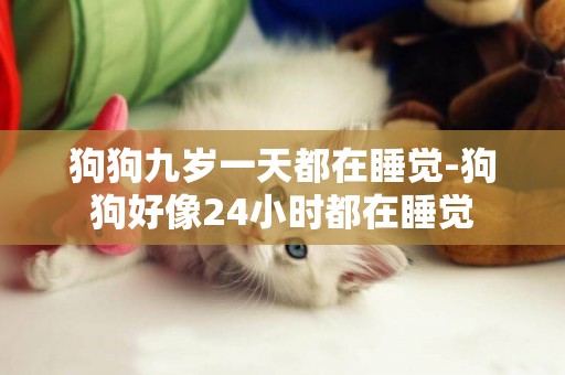 狗狗九歲一天都在睡覺-狗狗好像24小時都在睡覺