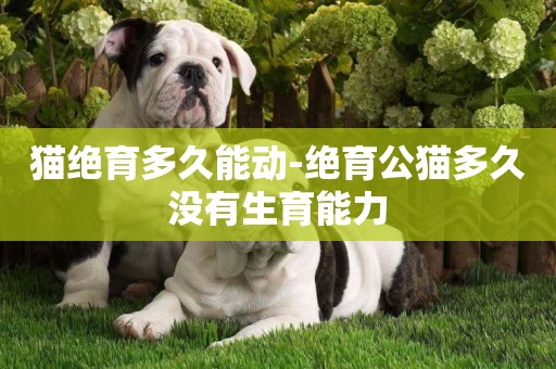 貓絕育多久能動-絕育公貓多久沒有生育能力