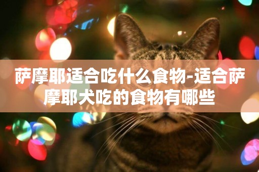 薩摩耶適合吃什么食物-適合薩摩耶犬吃的食物有哪些