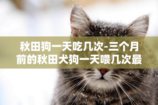 秋田狗一天吃幾次-三個月前的秋田犬狗一天喂幾次最好
