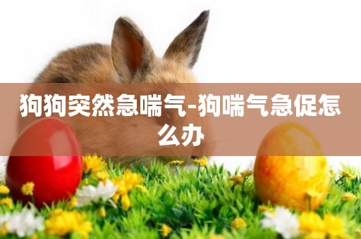 狗狗突然急喘氣-狗喘氣急促怎么辦