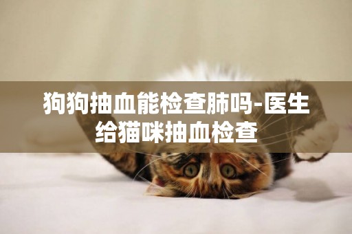 狗狗抽血能檢查肺嗎-醫生給貓咪抽血檢查