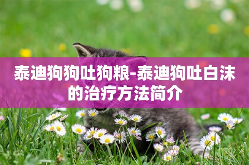 泰迪狗狗吐狗糧-泰迪狗吐白沫的治療方法簡介
