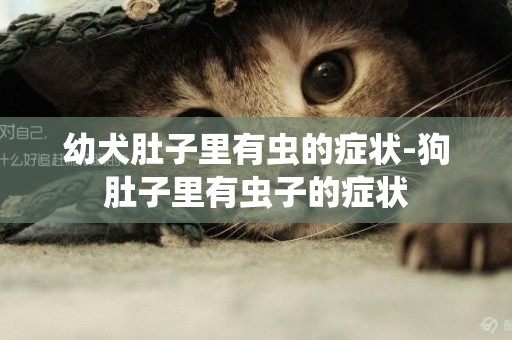 幼犬肚子里有蟲的癥狀-狗肚子里有蟲子的癥狀