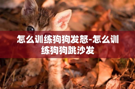 怎么訓練狗狗發怒-怎么訓練狗狗跳沙發
