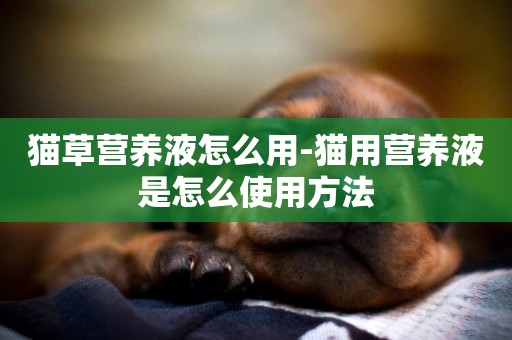 貓草營養液怎么用-貓用營養液是怎么使用方法