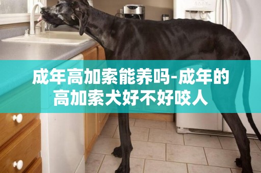 成年高加索能養嗎-成年的高加索犬好不好咬人