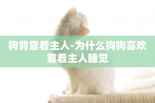 狗背靠著主人-為什么狗狗喜歡靠著主人睡覺