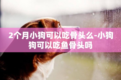 2個月小狗可以吃骨頭么-小狗狗可以吃魚骨頭嗎
