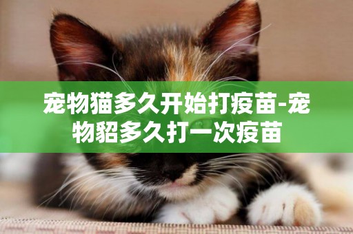 寵物貓多久開始打疫苗-寵物貂多久打一次疫苗