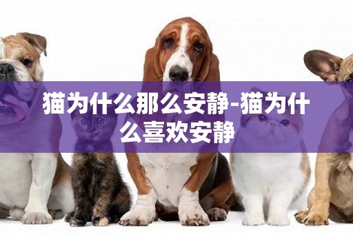 貓為什么那么安靜-貓為什么喜歡安靜