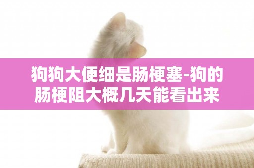 狗狗大便細是腸梗塞-狗的腸梗阻大概幾天能看出來