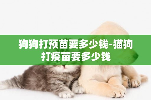 狗狗打預苗要多少錢-貓狗打疫苗要多少錢