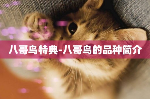 八哥鳥特典-八哥鳥的品種簡介