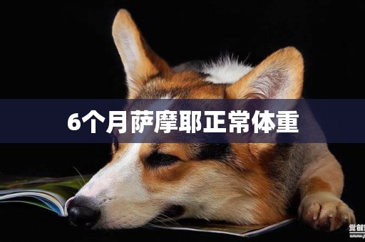 6個月薩摩耶正常體重
