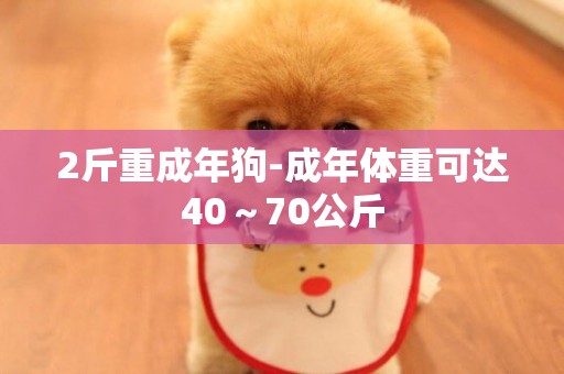 2斤重成年狗-成年體重可達40～70公斤
