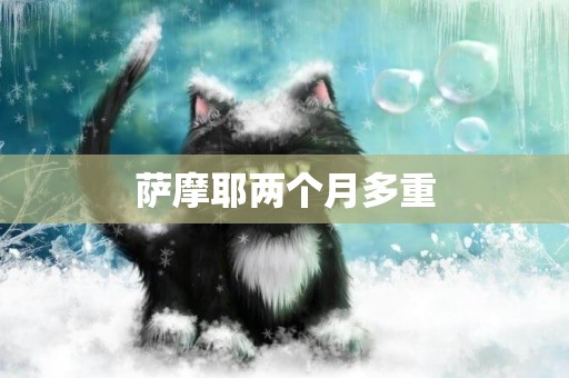 薩摩耶兩個月多重