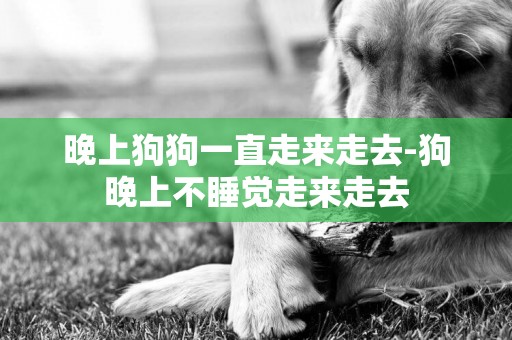 晚上狗狗一直走來走去-狗晚上不睡覺走來走去