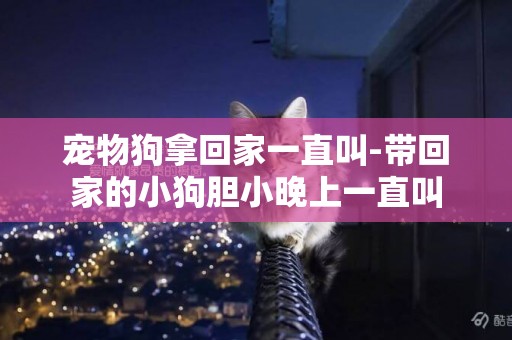 寵物狗拿回家一直叫-帶回家的小狗膽小晚上一直叫