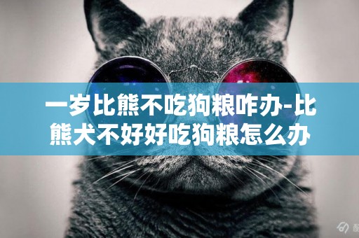 一歲比熊不吃狗糧咋辦-比熊犬不好好吃狗糧怎么辦