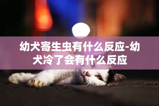 幼犬寄生蟲有什么反應-幼犬冷了會有什么反應